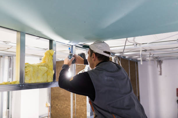 Best Crawl Space Insulation  in Dupo, IL