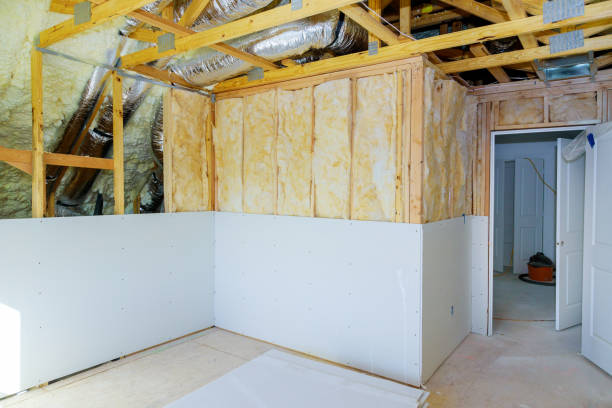 Best Soundproof Insulation Installation  in Dupo, IL