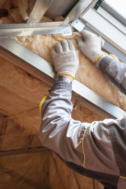 Best Local Insulation Services  in Dupo, IL