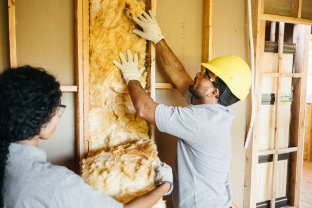 Garage Insulation Installation in Dupo, IL