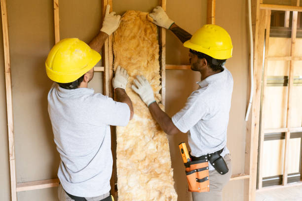 Best Crawl Space Insulation  in Dupo, IL