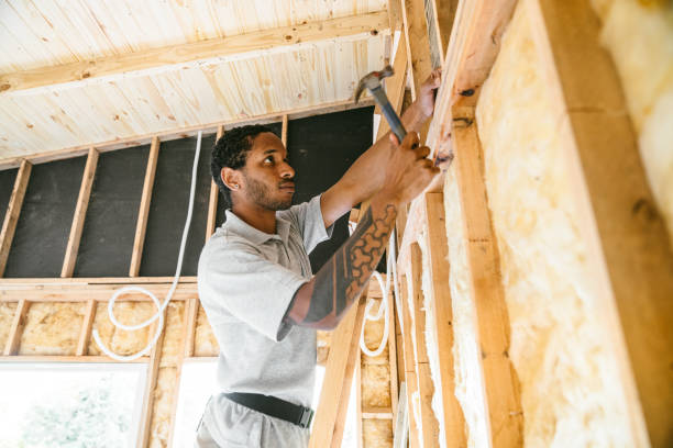 Best Professional Insulation Contractor  in Dupo, IL
