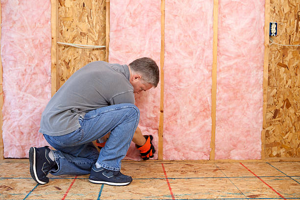 Best Best Insulation Companies  in Dupo, IL
