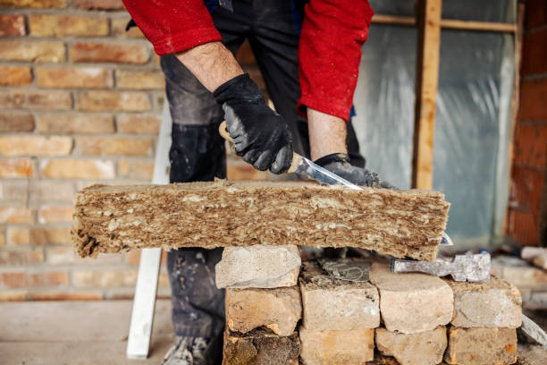 Best Blown-in Insulation  in Dupo, IL