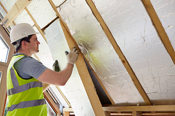 Best Attic Insulation Installation  in Dupo, IL