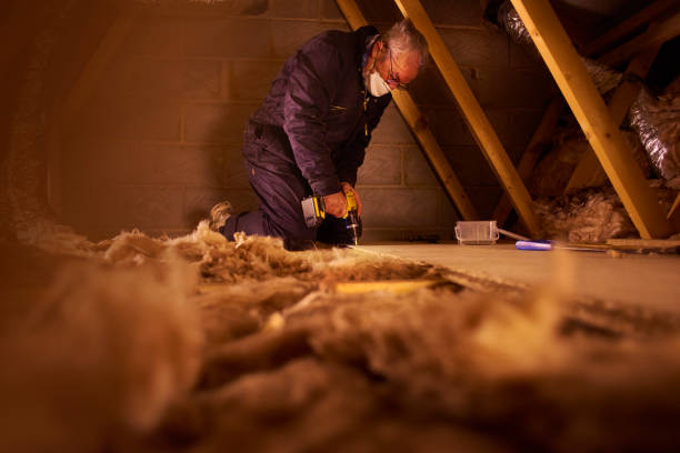 Best Energy-efficient Insulation  in Dupo, IL